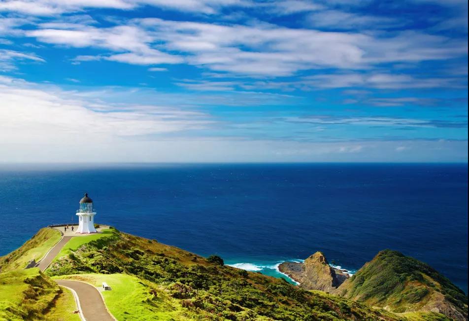 1543799602638190.jpg 4.jpg