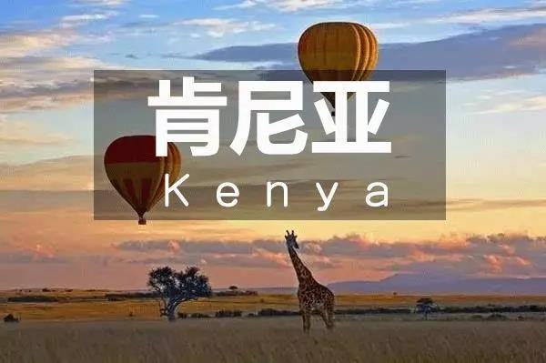 1547456292532877.jpg 1.jpg